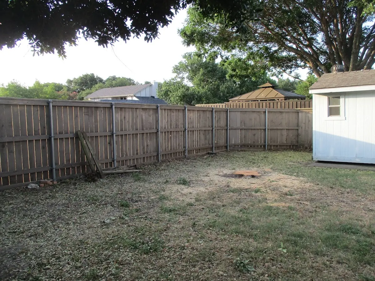 Cleared yard after professional tree removal in Palmyra